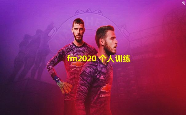 fm2020 个人训练